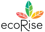 ecorise youth innovations sustainability curriculum
