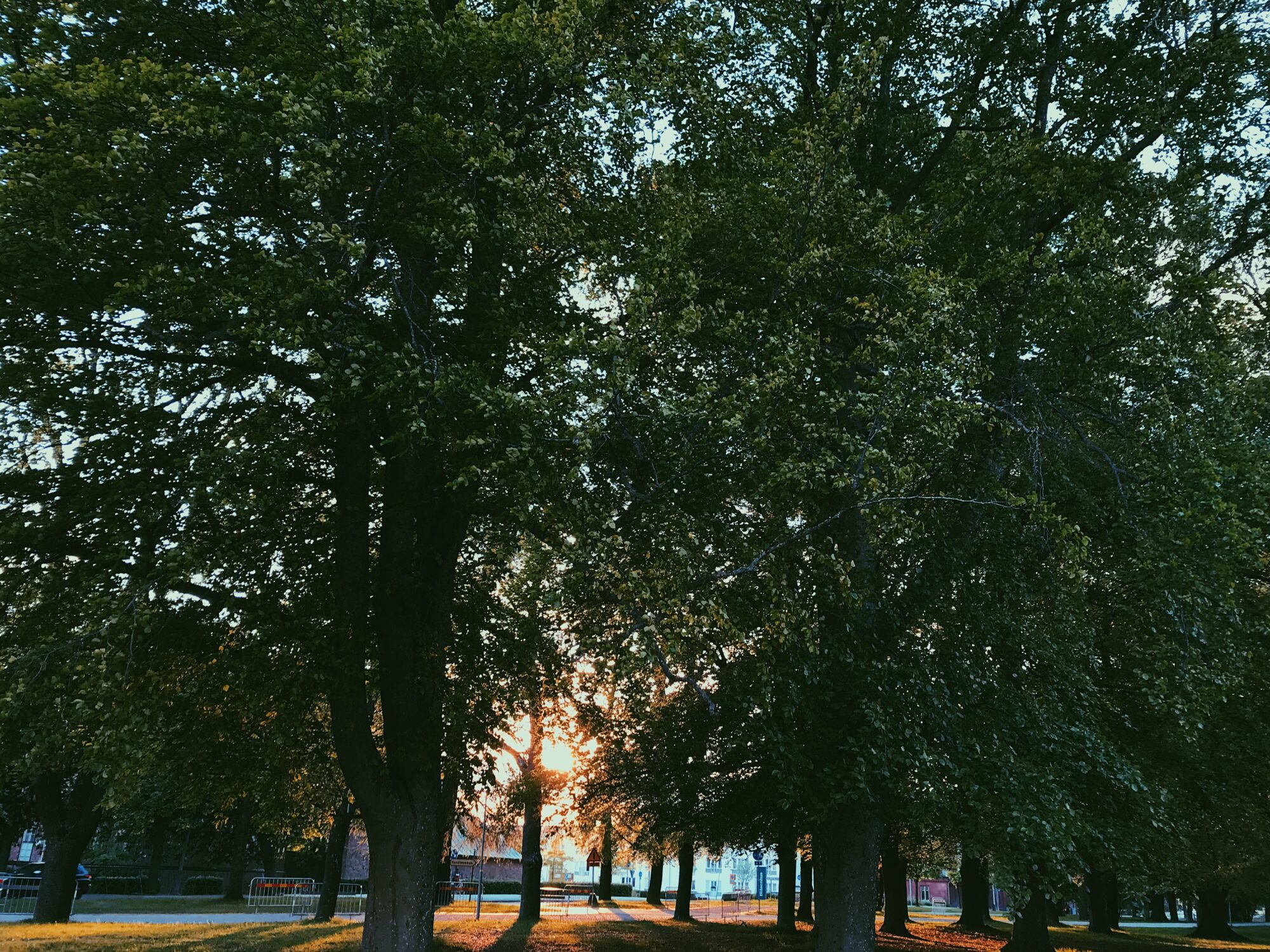 2015-16 New School Year Update