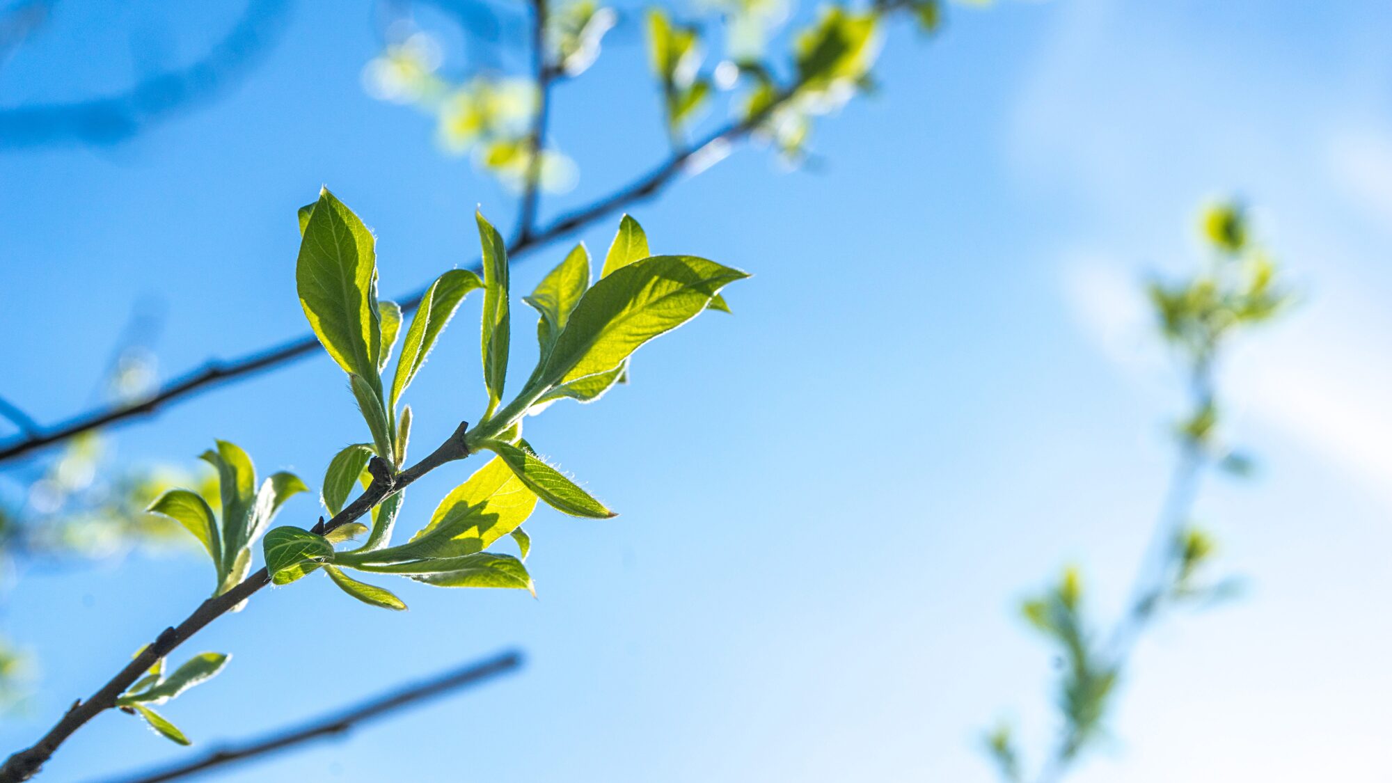 EcoRise Receives EPA Grant, Directs Resources to Expansion in Boston and D.C