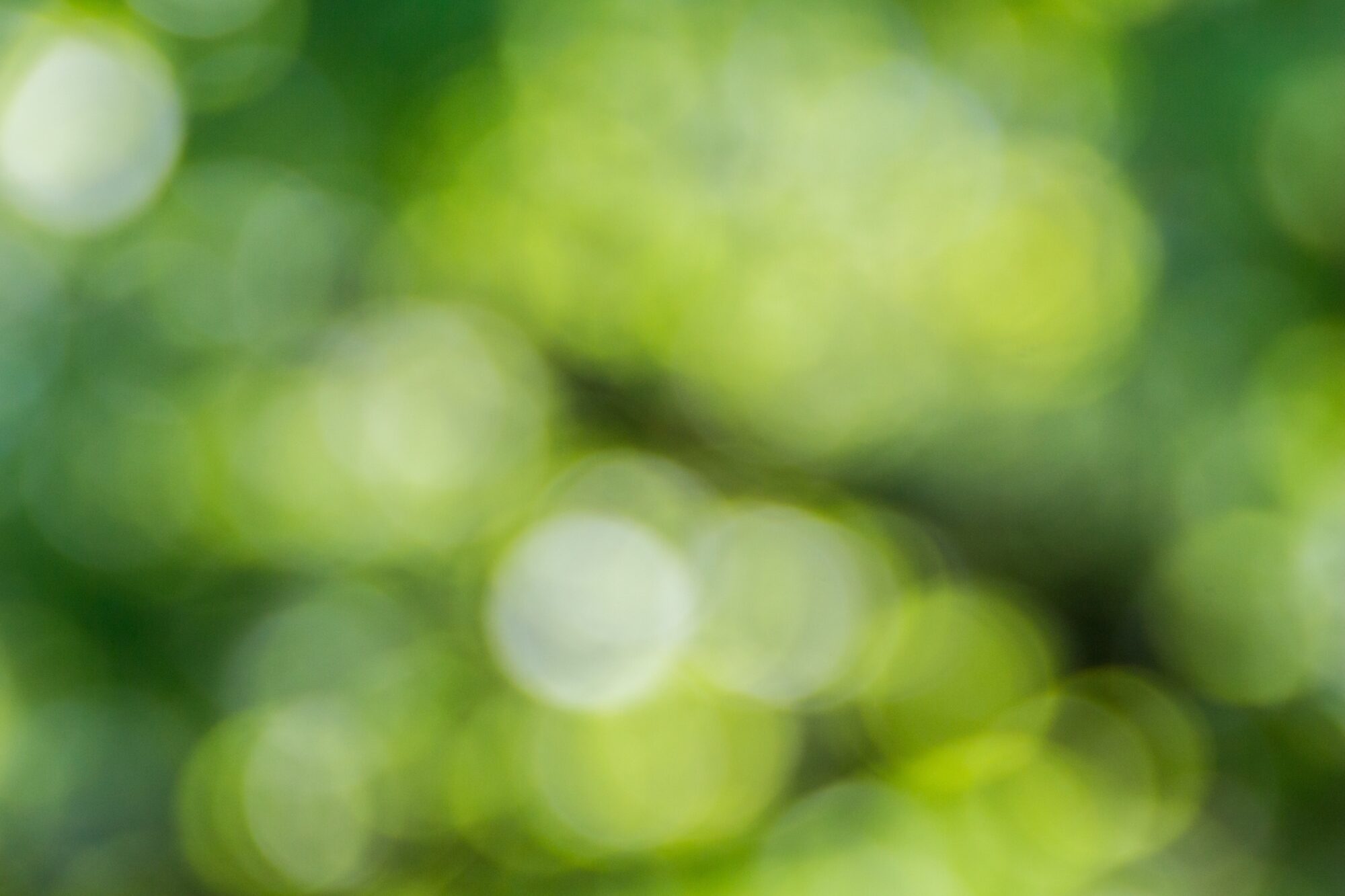 EcoRise and City of Austin Office of Sustainability to Host 4th Annual Central Texas Student Innovation Showcase
