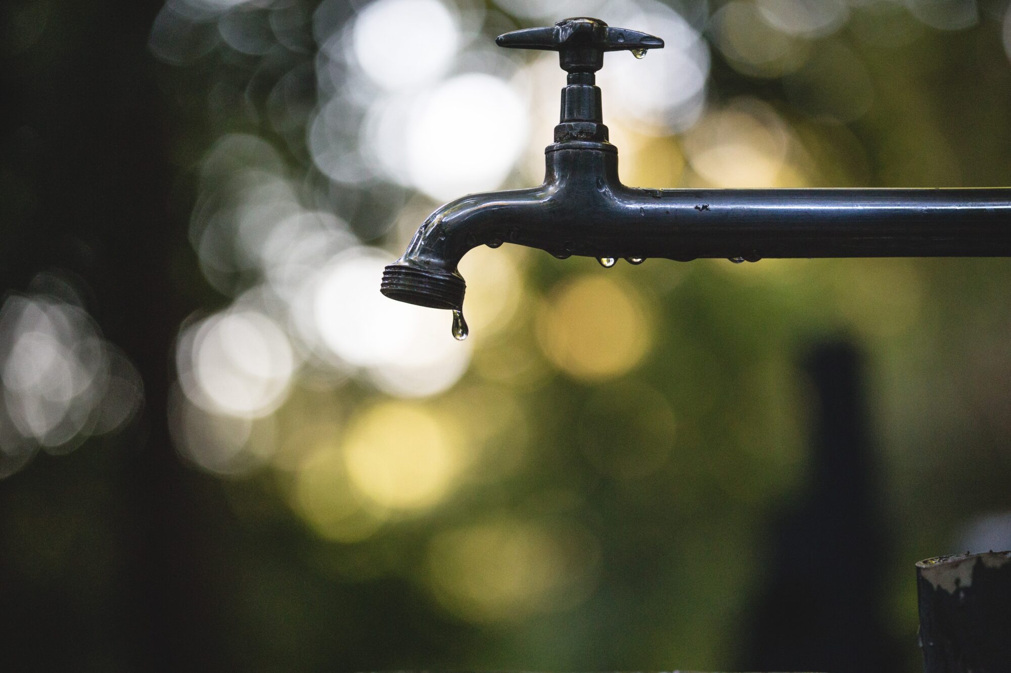 San Antonio Schools Showcase Sustainability Efforts
