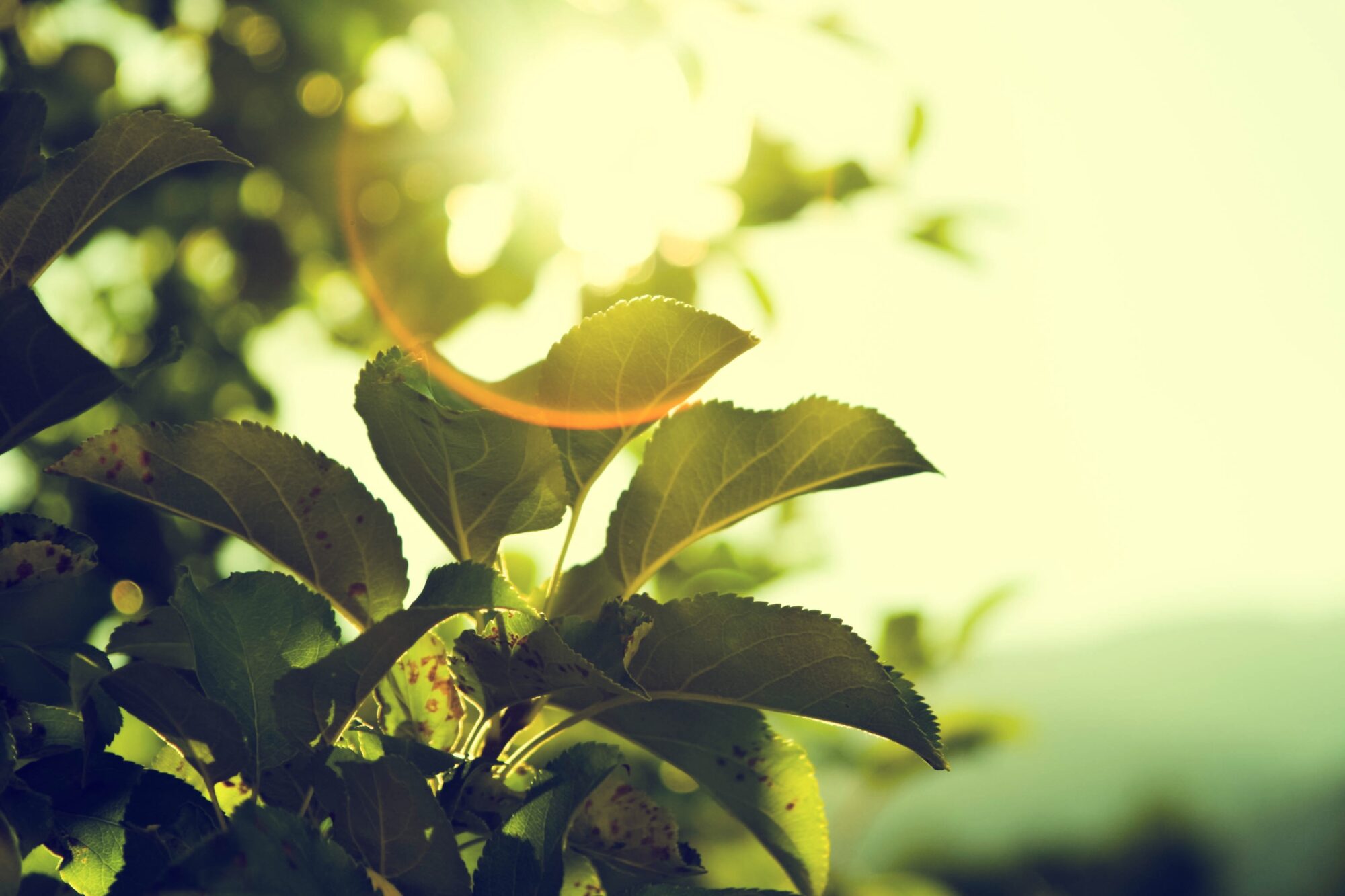 Texas Environmental Excellence Awards​