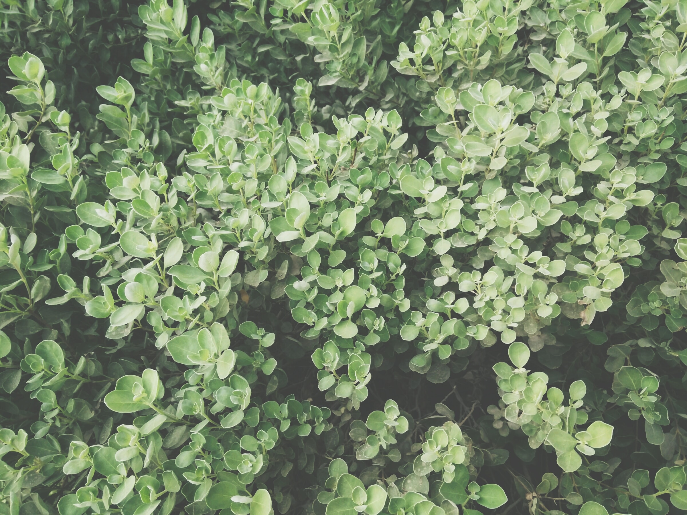 Connecting Students to Green Building Careers with LEED Prep