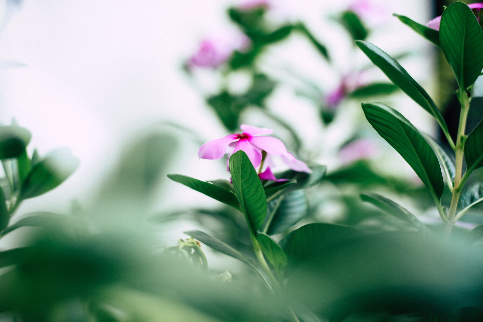 Eversource Leads the Way to Help Empower the Green Workforce of the Future