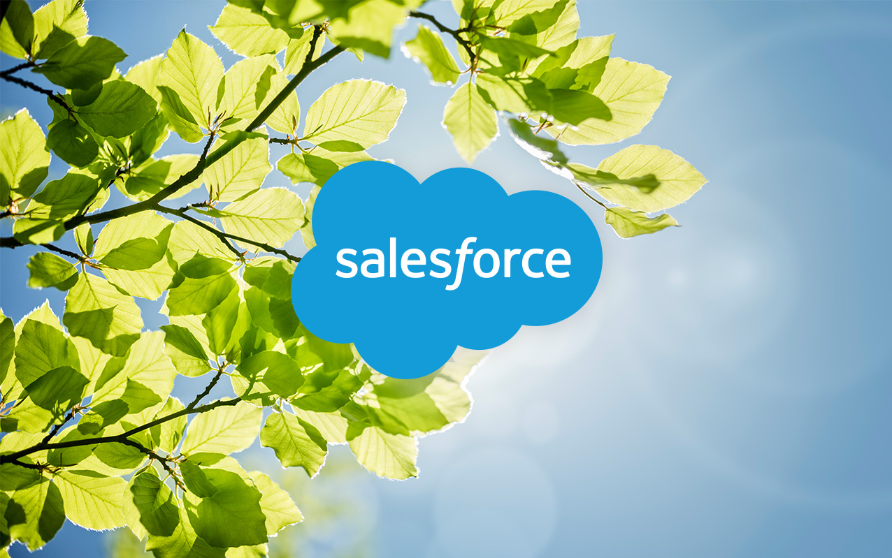 EcoRise Receives $250,000 Salesforce Grant to Fund Program in the Northeast
