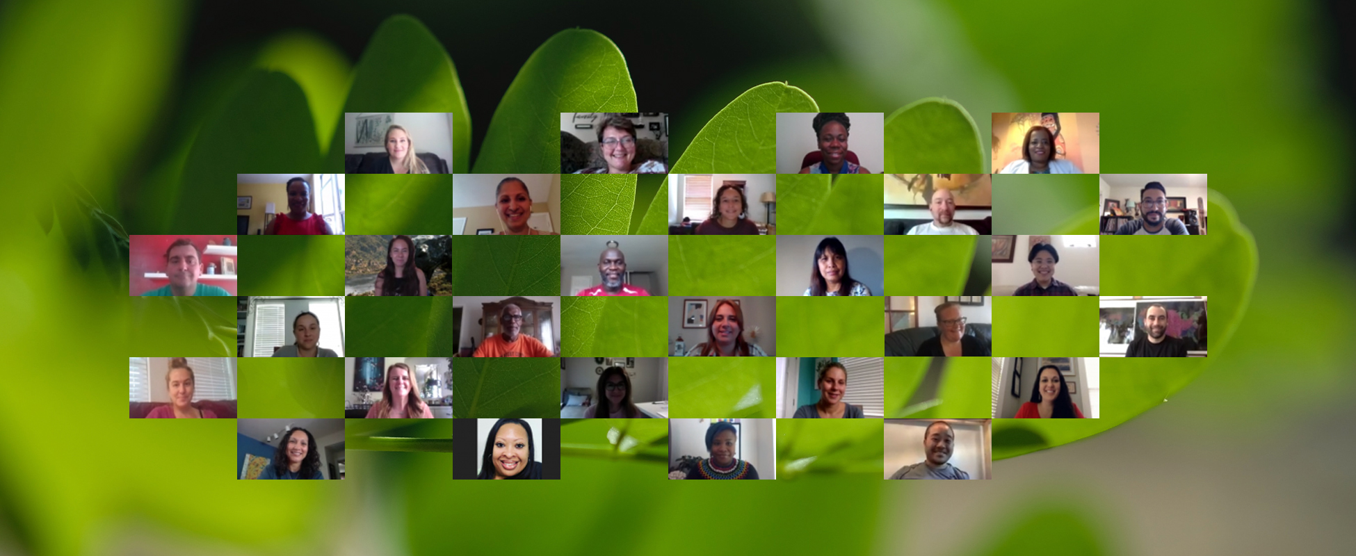 Meet the 2020–2021 EcoRise Teacher Ambassadors and Education Fellows