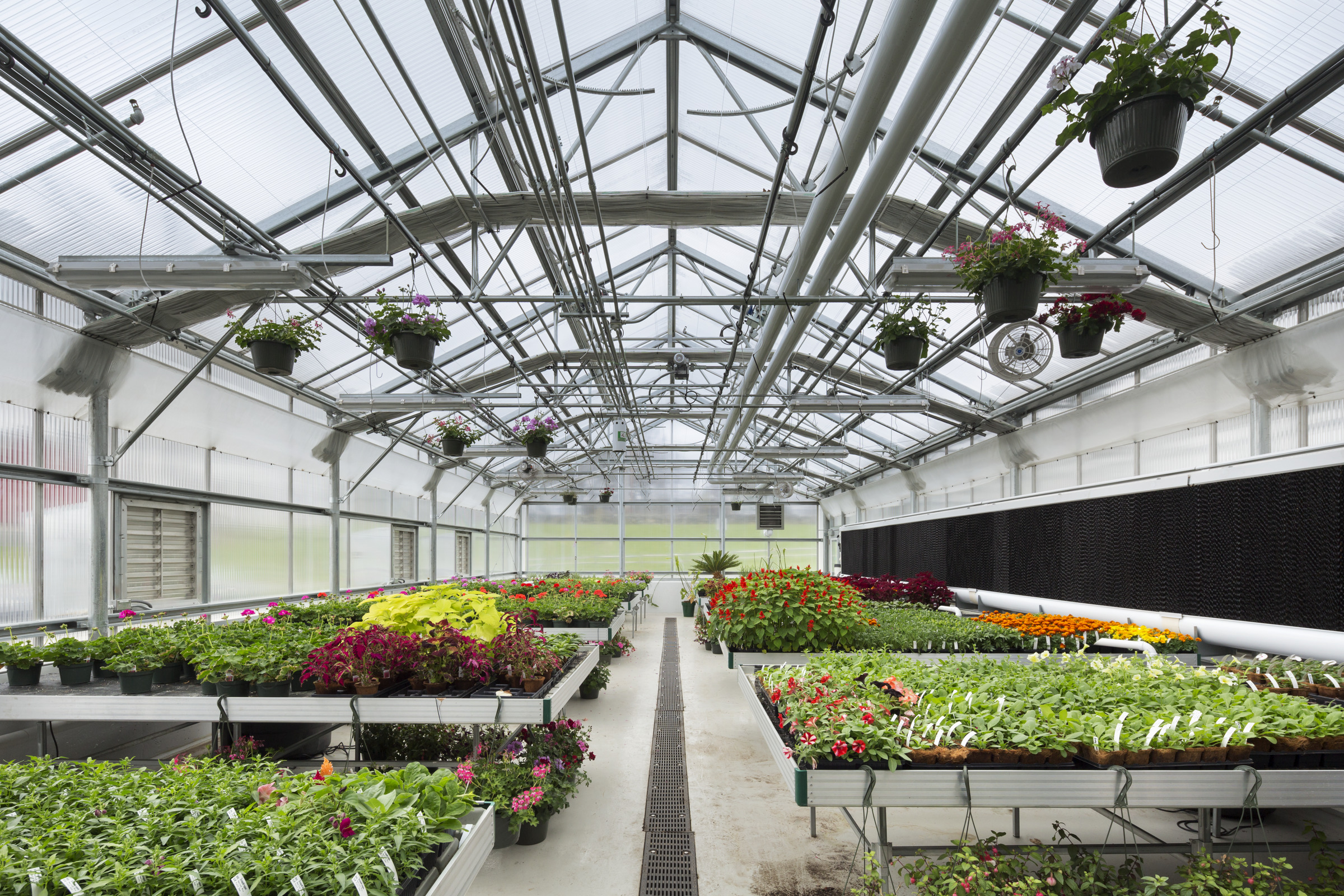 GBA Fosters Community Between Educators and Green Professionals