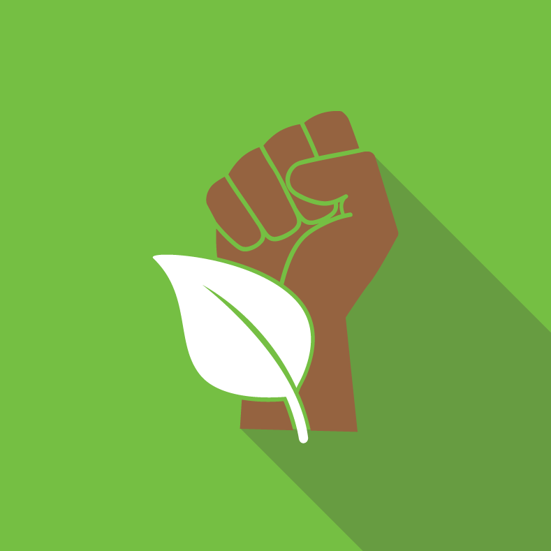 Introduction to Environmental Justice