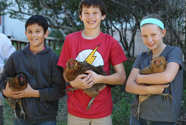 Chicken Coop + Feed and Water Station