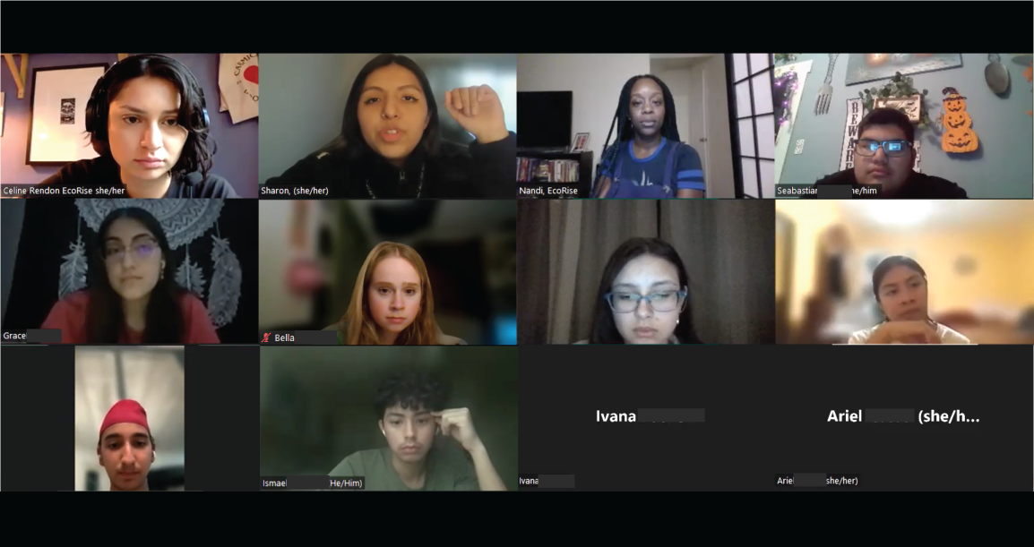 25 New Youth Chosen to Represent the Mayor’s Youth  Engagement Council for Climate Initiatives
