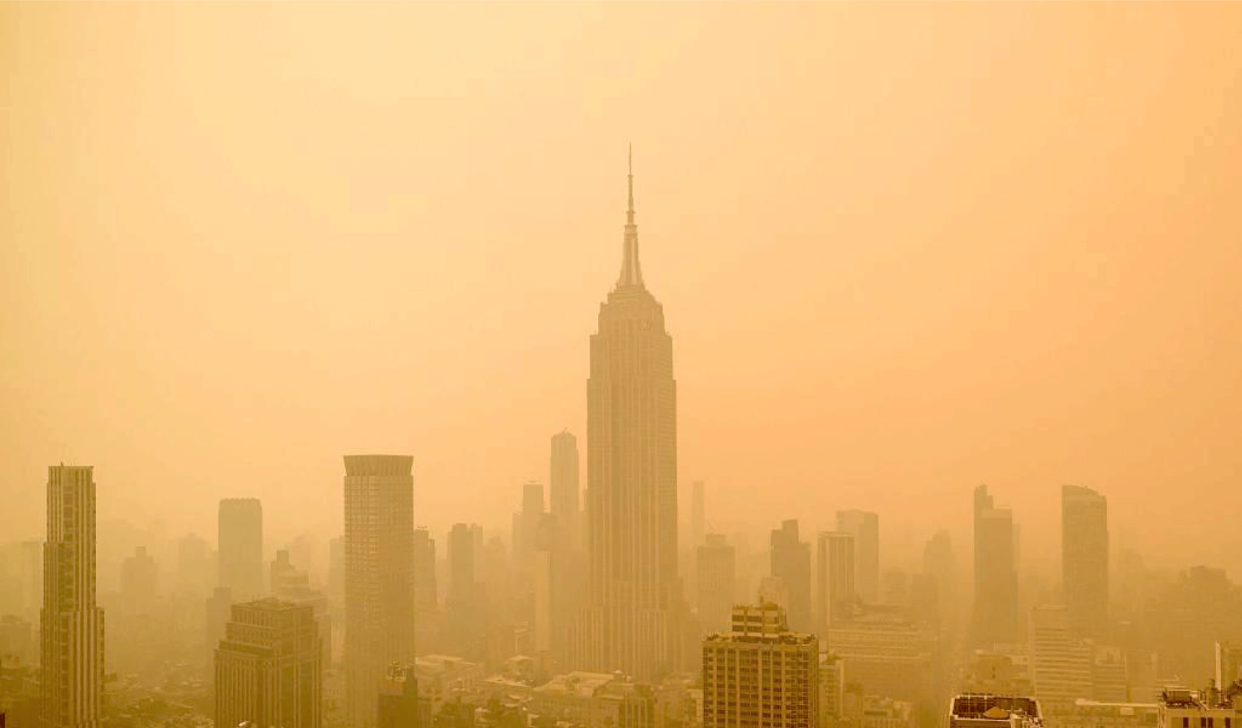 Confronting the Air Quality Crisis