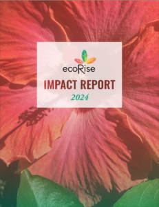 2024 Impact Report Cover