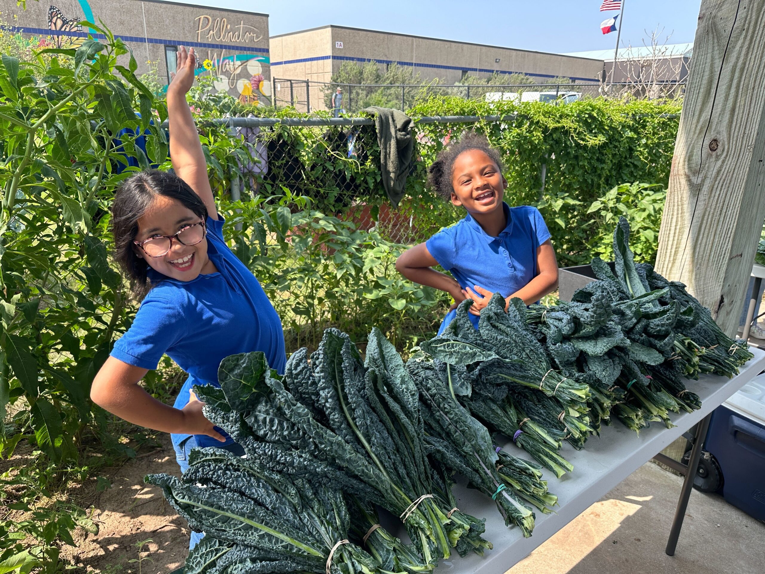 EcoRise & Galveston’s Own Farmers Market to Bring Place-Based Learning to Galveston Schools with National Academies Grant