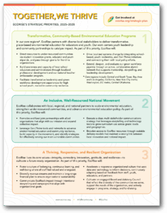 View the Together, We Thrive Plan PDF document with three boxes describing the three priorities and their goals for EcoRise's 2025–2028 strategic plan