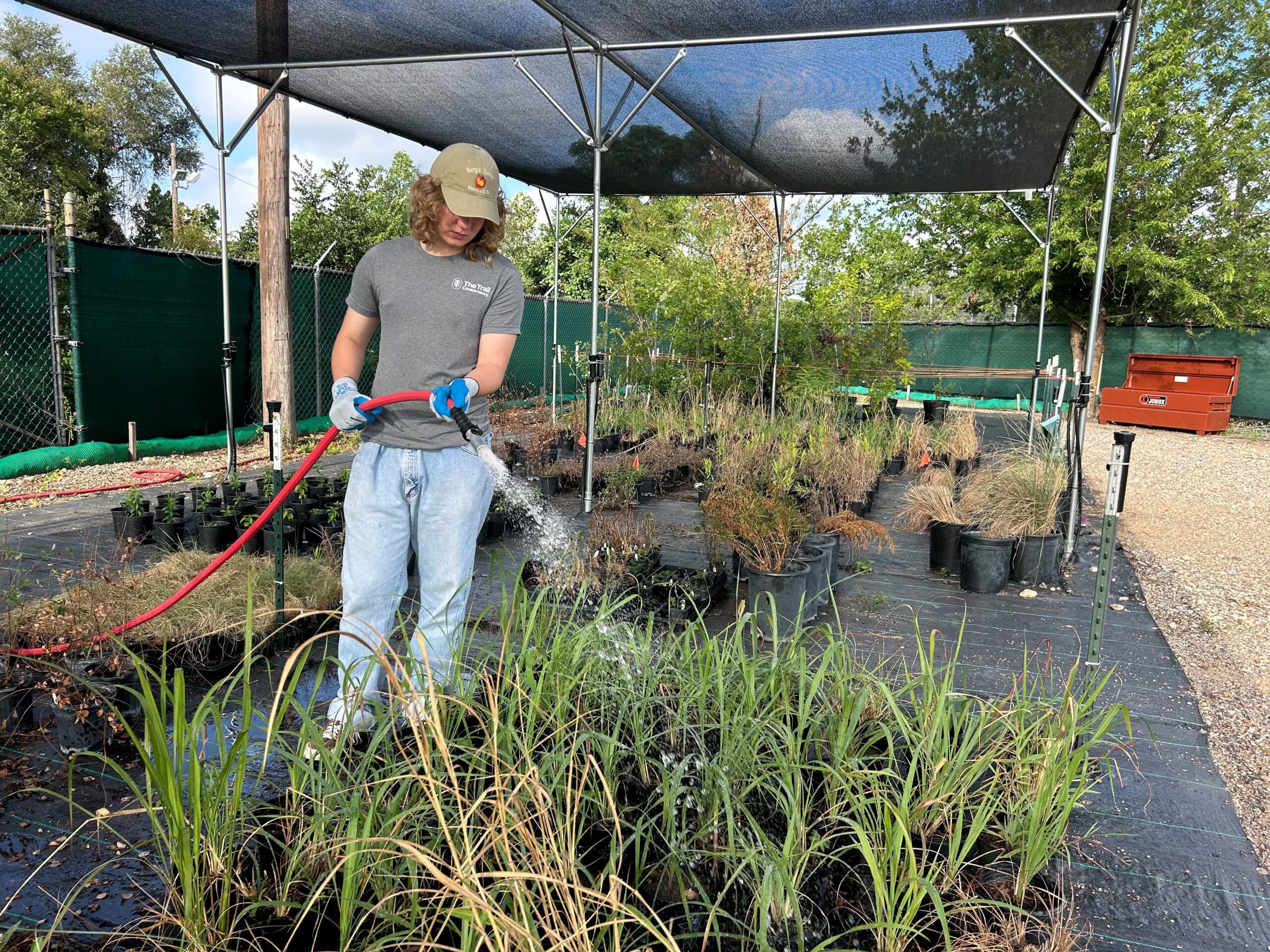 Luke watering plants for The Trail Conservancy.